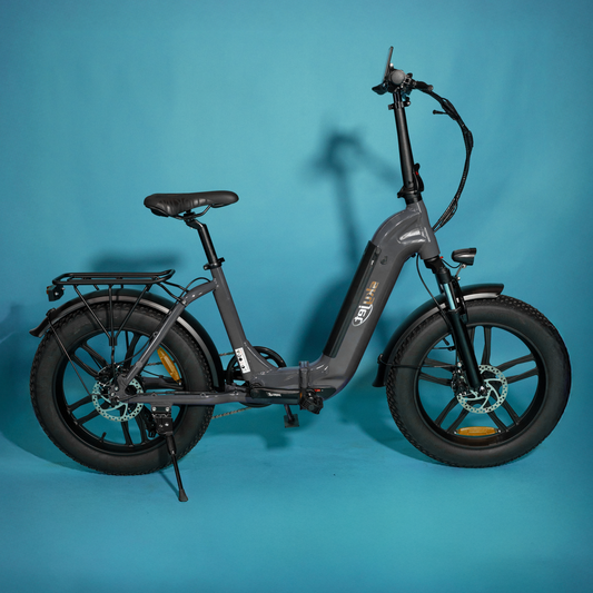 E-Fatbike 4S