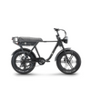 E-Fatbike A10