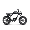 E-Fatbike BABOON