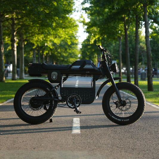 E-Fatbike GIBBON