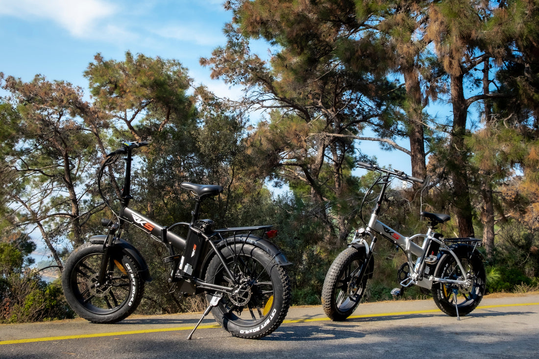 Herbstzeit ist Fatbike-Zeit – Warum dein E-Bike jetzt erst richtig Spaß macht