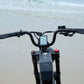 E-Fatbike BABOON