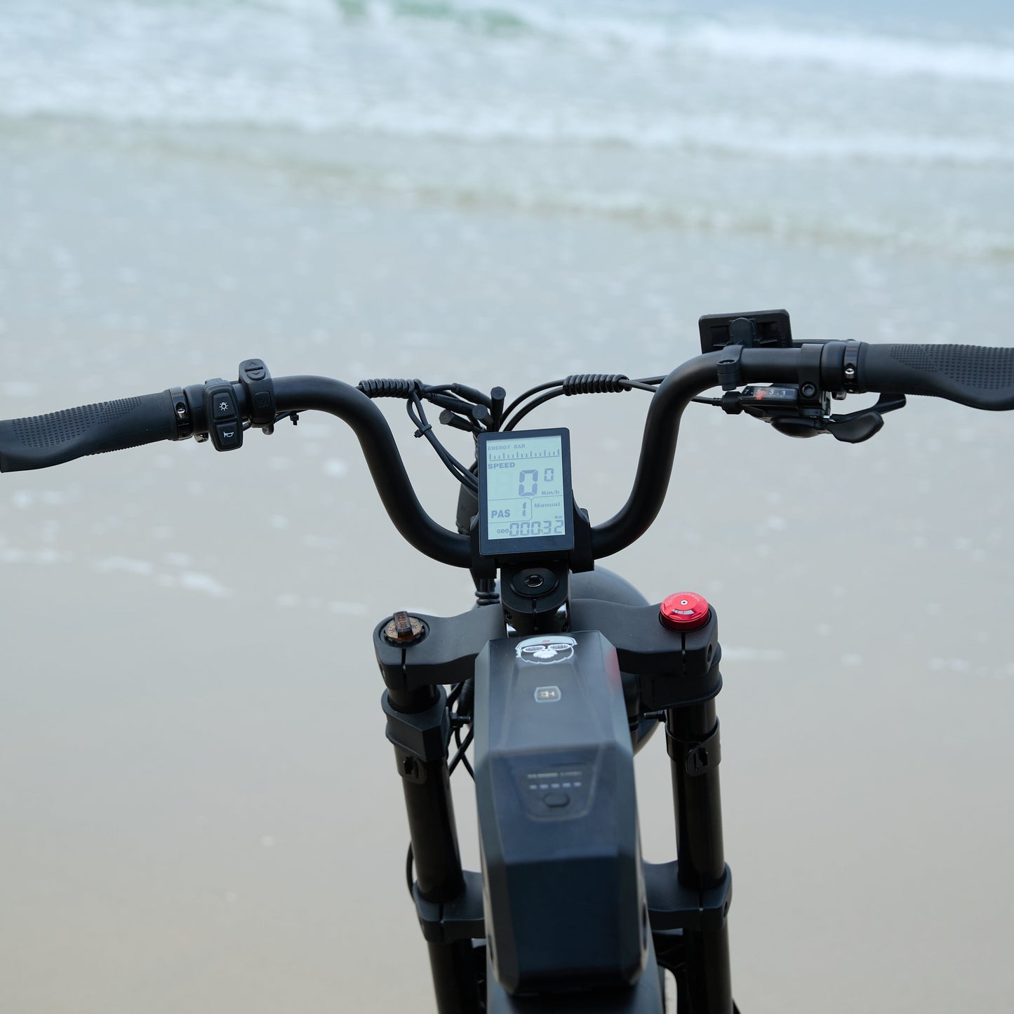 E-Fatbike BABOON