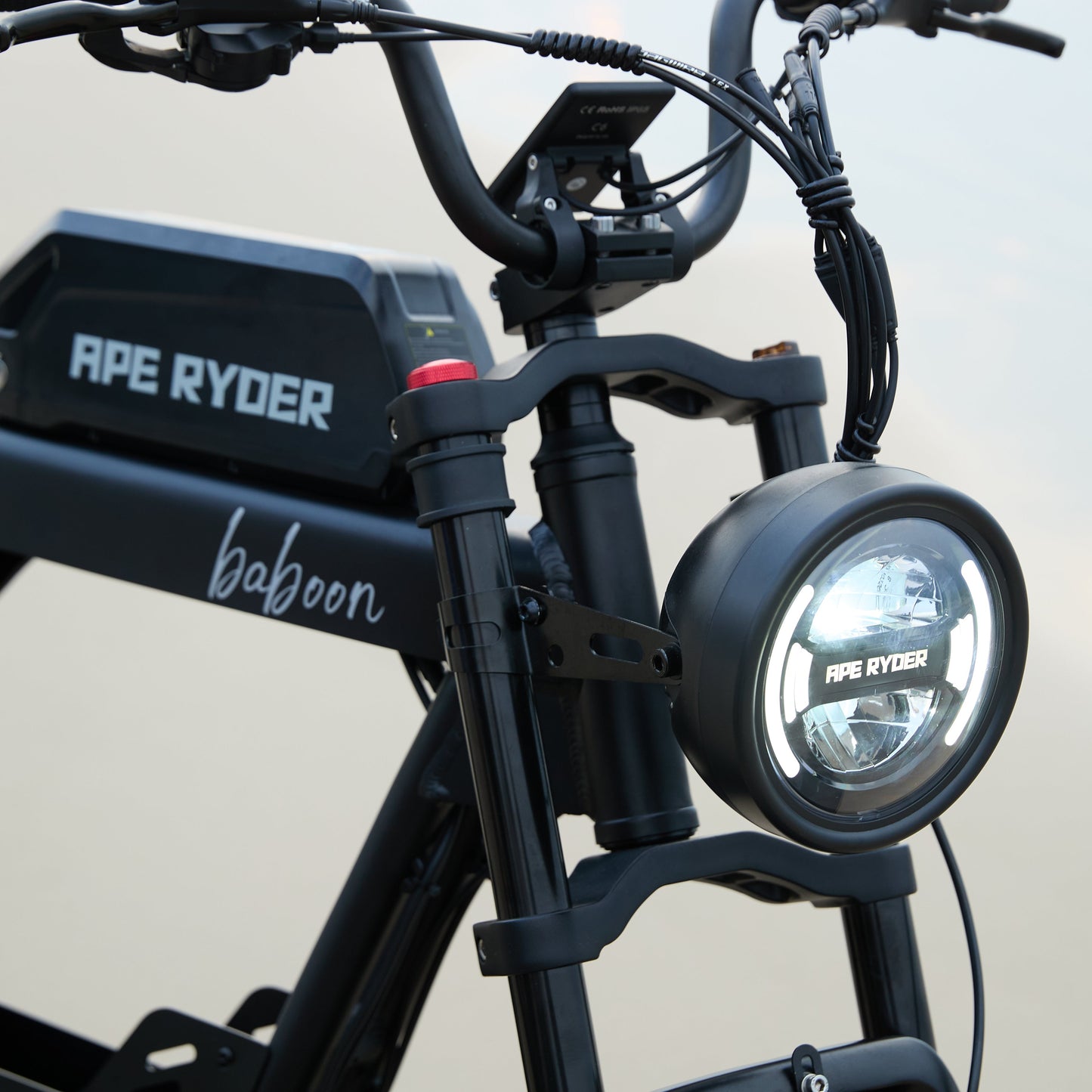 E-Fatbike BABOON