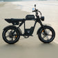 E-Fatbike BABOON