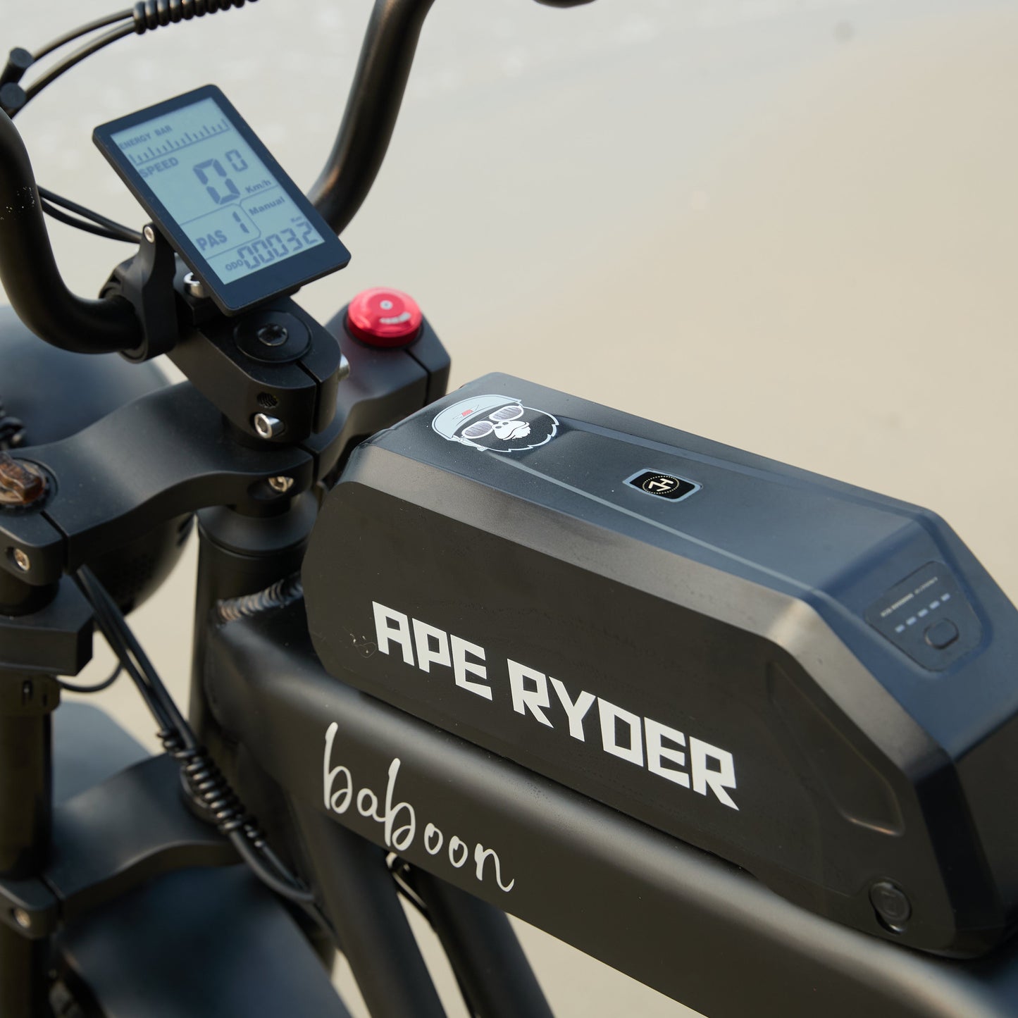 E-Fatbike BABOON