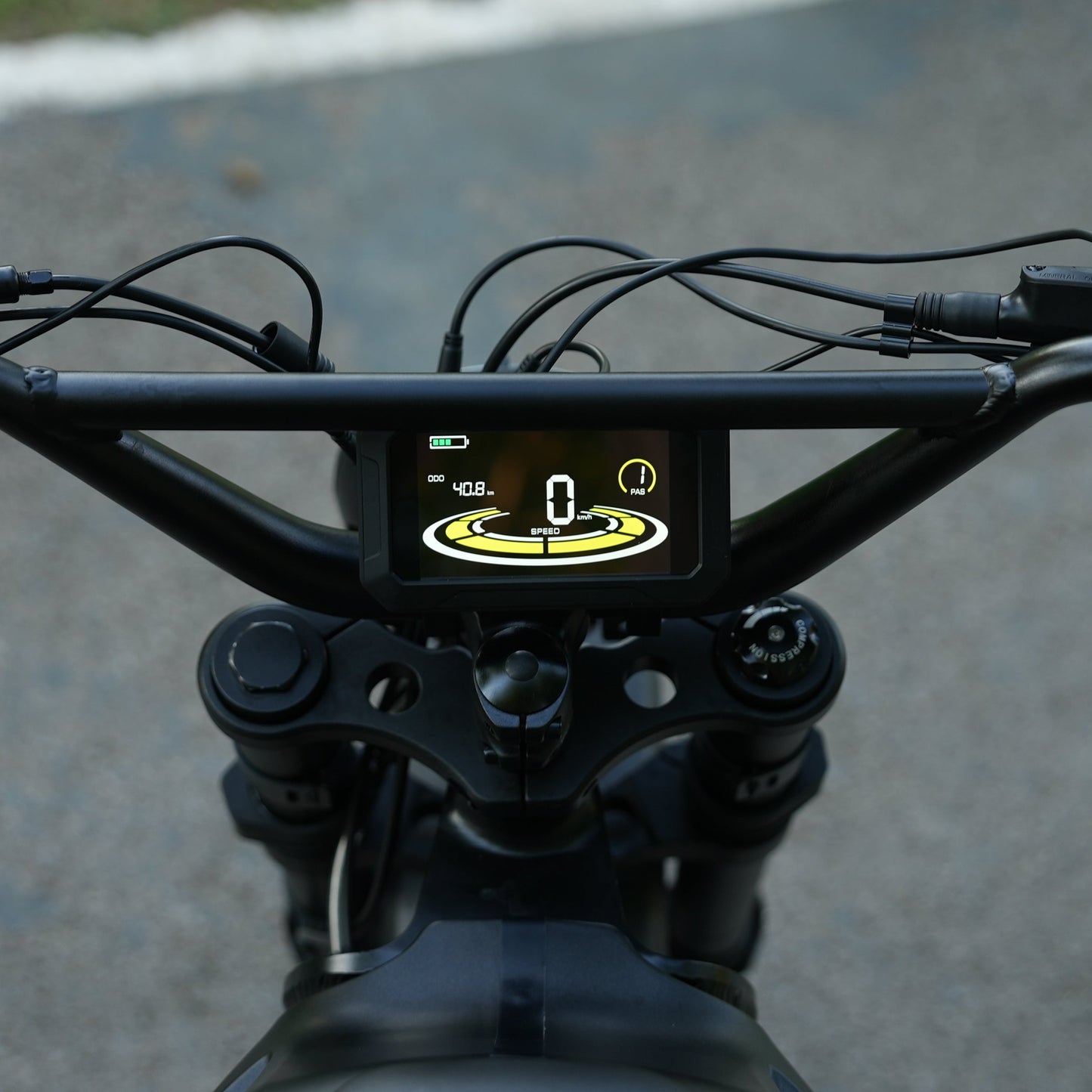 E-Fatbike GIBBON