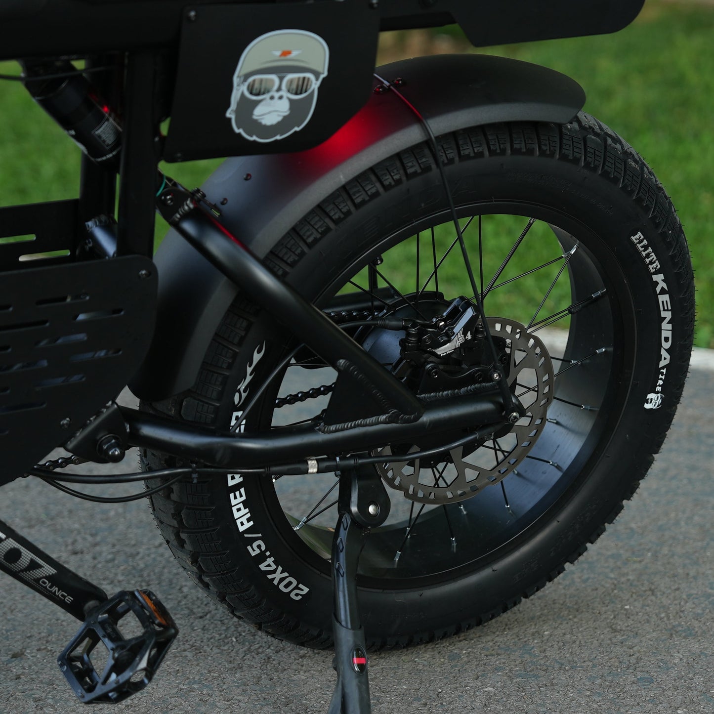 E-Fatbike GIBBON