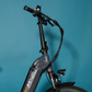 E-Fatbike 4S