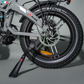 E-Fatbike La Rose