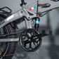 E-Fatbike La Rose