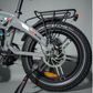 E-Fatbike La Rose
