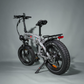 E-Fatbike La Rose