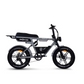 E-Fatbike Jambo PRO