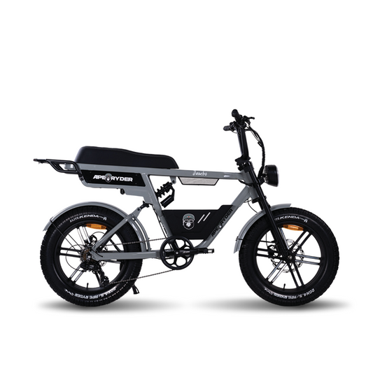 E-Fatbike Jambo