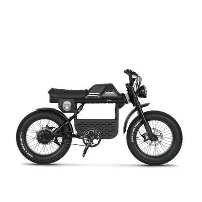 E-Fatbike GIBBON