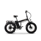 E-Fatbike NITRO