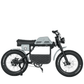 E-Fatbike GIBBON