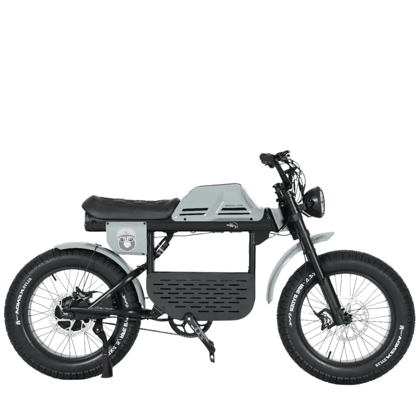 E-Fatbike GIBBON