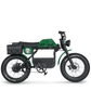 E-Fatbike GIBBON