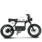 E-Fatbike GIBBON